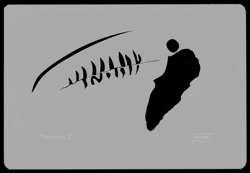 Toucan Wildlife Stencils
